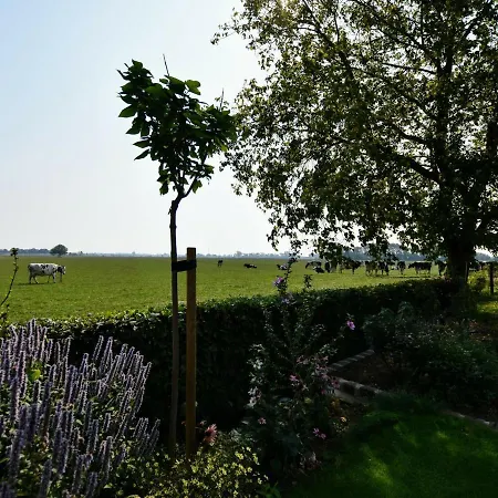 Tranquil Group Retreat In Nature