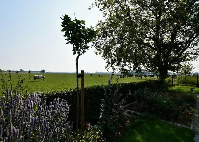 Tranquil Group Retreat In Nature